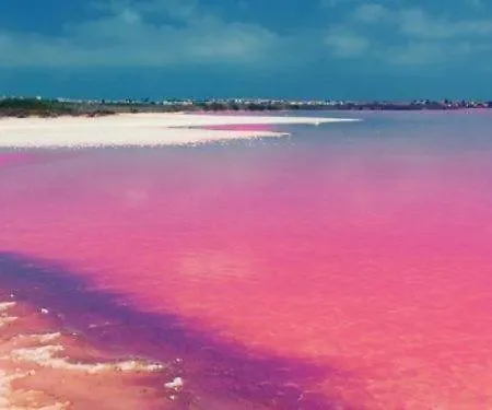 Casa Weusthof 아파트 *